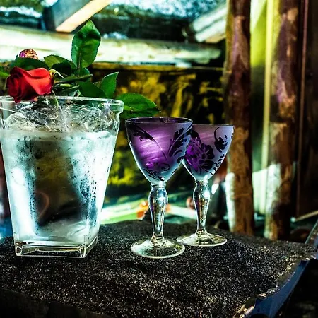 Sixlove Gate Thovez (adults Only) * Turyn